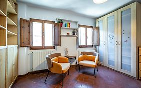Roommo Viola